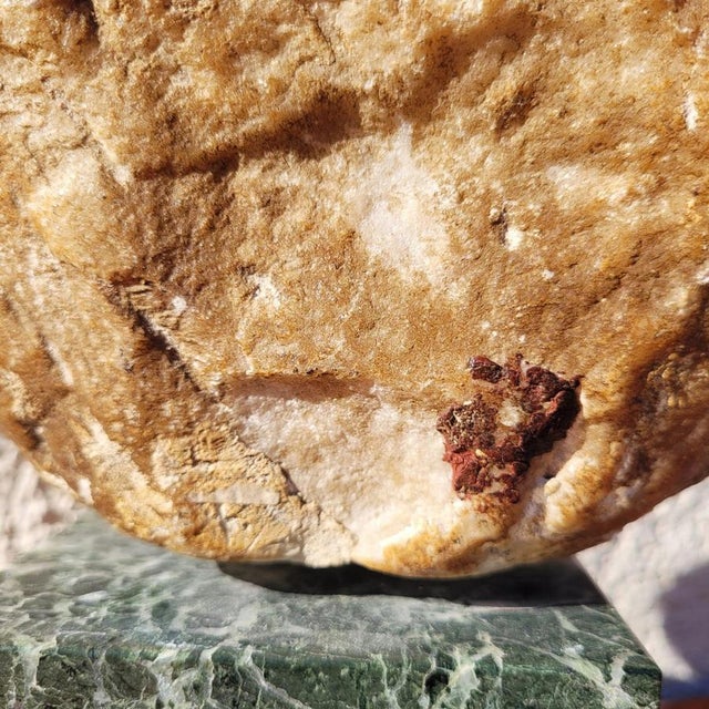 Figurative Bust, 1600s, Marble For Sale - Image 13 of 18