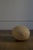 Plastic 1960s 'Dora' Rock Lamp by Andre Cazenave for Atelier a/Disderot, France For Sale - Image 7 of 8