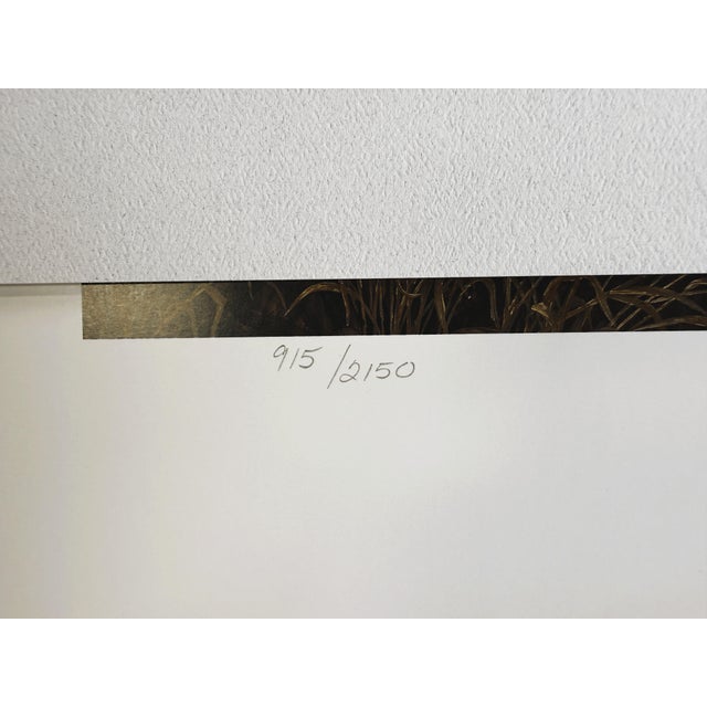 1990s Larry Zach "Old Rivals III ~ Whitetail" Signed, Numbered, Le Wildlife Print For Sale - Image 9 of 9