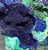 Early 21st Century Azurite Malachite Specimen by Stillmantle For Sale - Image 5 of 5