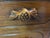 1950s 1950 Davis Company Lillian Russel Black Walnut Drop Down Desk For Sale - Image 5 of 11