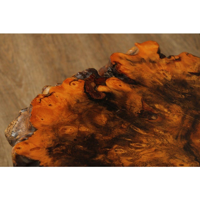 The Burlwood Co. Star Dust Redwood Burl Live Edge Coffee Table For Sale In Philadelphia - Image 6 of 18