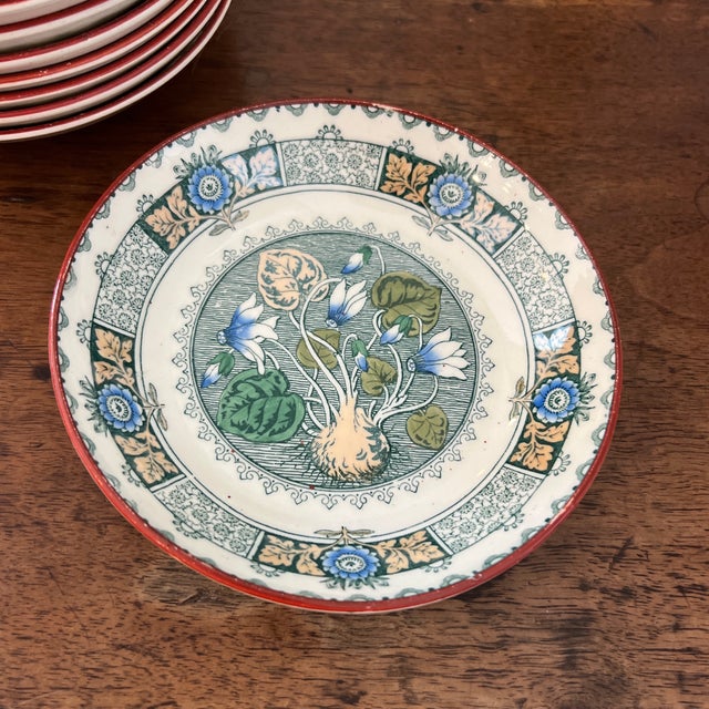 Wedgwood Antique Josiah Wedgewood and Sons / a Durer Cyclamen Flower and Bulb Botannical Bowls- Set of 8 For Sale - Image 4 of 4