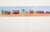 Raoul Dufy, The July 14th Parade, Lithograph For Sale - Image 5 of 5