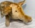 1940s Large Vintage Handmade German Steiff Mohair Dalle Boar Pig Stuffed Animal 23 In. For Sale - Image 5 of 16