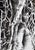 Christian Bauer, Nude, Adrian, 1990s, Ink & Pencil For Sale - Image 13 of 13