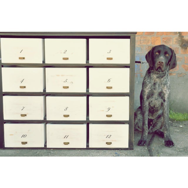 Chest of Drawers with Twelve Drawers For Sale - Image 9 of 9