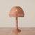 Full rattan lamp (hand-woven, natural texture) with cute mushroom shape. Warm light through rattan creates soft vibe, fits...