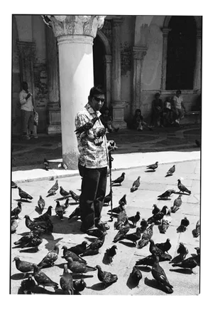 Paul Cooklin, Blind Man Feeding Pigeons, Silver Gelatin Photograph, Limited Edition of 10