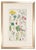 Illustration Pair of Original Hand-Colored Botanical Engravings From Dr. David Dietrich's Flora Universalis, C. 1850 | Custom Framed Antique Botanical Prints Set A For Sale - Image 3 of 4