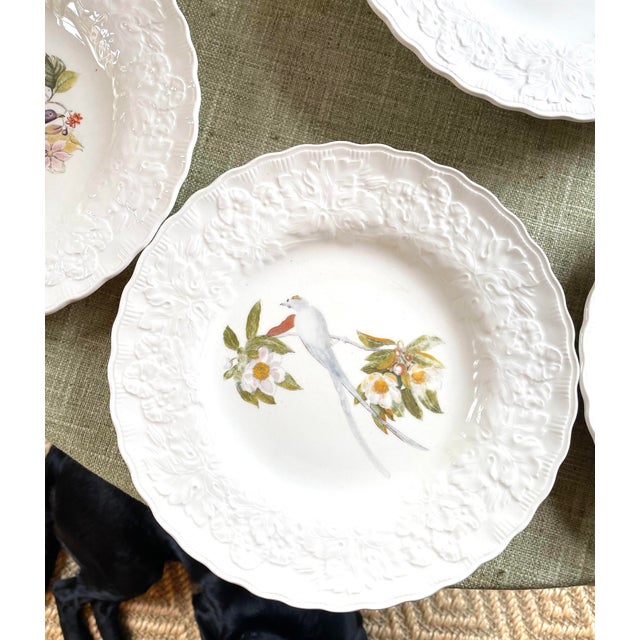 1940s Alfred Meakin “Audubon’s Birds of America” Dinner Plates, Made in