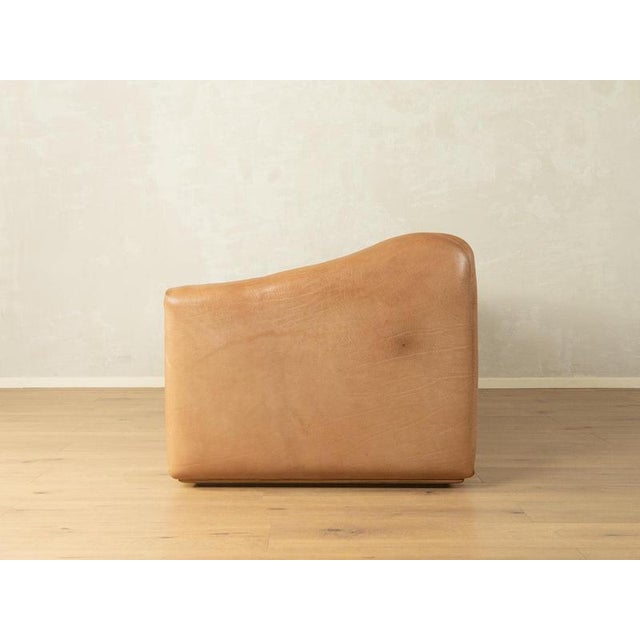 Animal Skin DS-47 Sofa from de Sede For Sale - Image 7 of 9