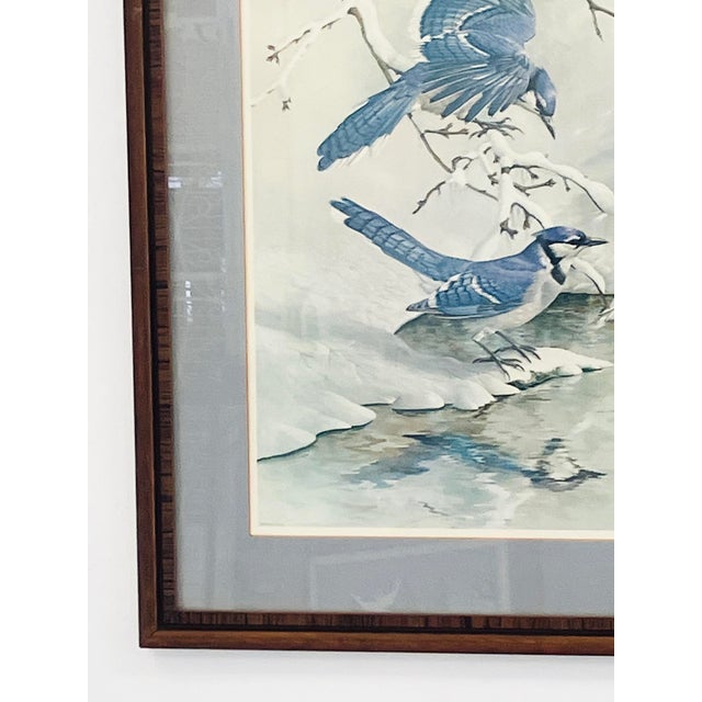 Large Vintage Blue Jay Winter Scene Print For Sale - Image 4 of 14