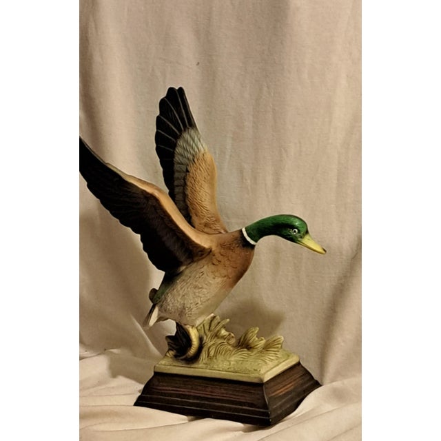 Midcentury Mallard Duck Statue For Sale - Image 11 of 12
