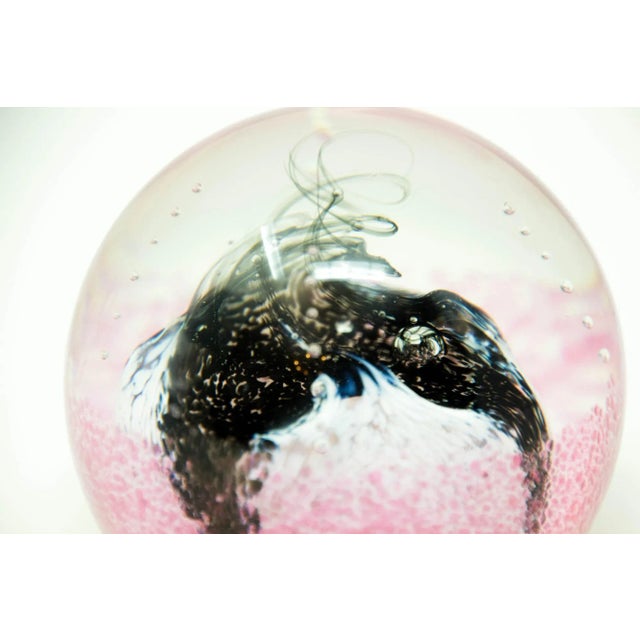 Paperweight Caithness Scotland Signed Collectible " Obsession" With Box 1970's For Sale - Image 10 of 12