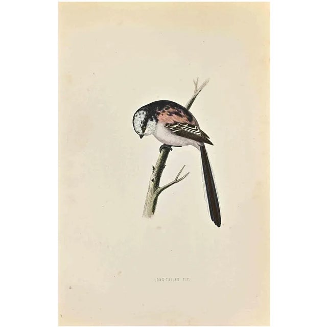 Long-Tailed Tit is a modern artwork realized in 1870 by the British artist Alexander Francis Lydon (1836-1917). Woodcut...