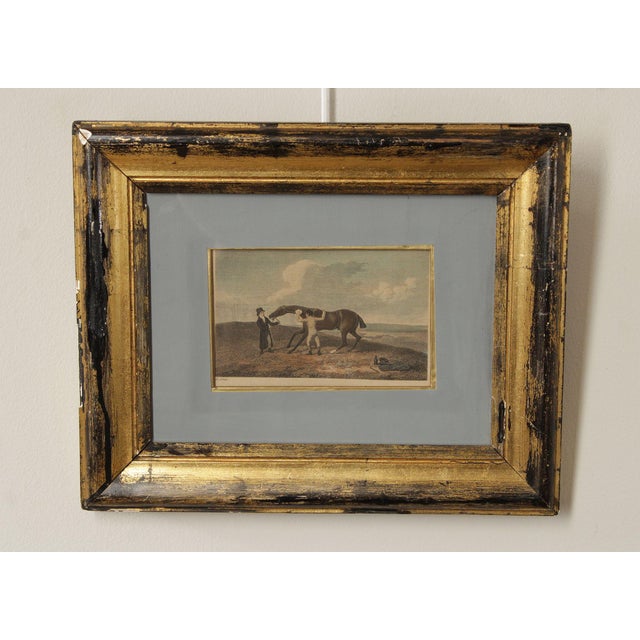 Antique Tinted Lithograph of Horse with Handlers, by Henry Alken (English, 1785-1851), From British Field Sports by...