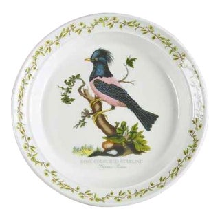 Vintage Portmeirion Birds of Britain Rose Coloured Starling Luncheon Plate - Floral Band For Sale
