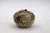 Asian 15th Century Thai Sawankhalok Small Stoneware Persimmon Shaped Box For Sale - Image 3 of 7
