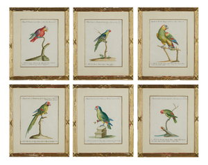 Xaviero Manetti, Ornithologia, 1800s, Engraving & Paper, Set of 6