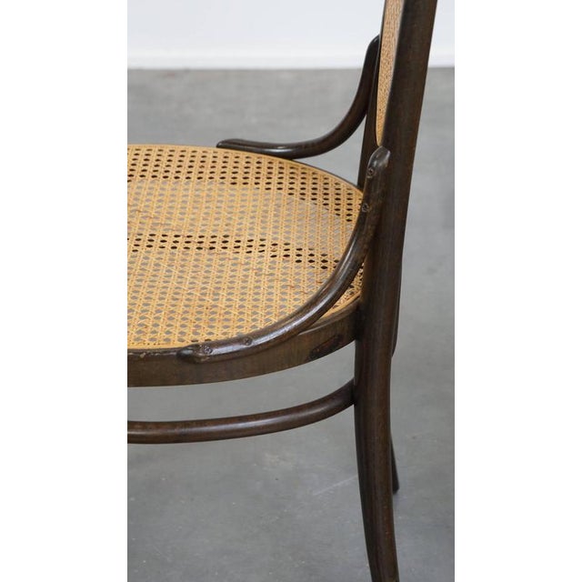 Set of Vintage Bentwood Dining Room Chairs by Michael Thonet For Sale - Image 10 of 13
