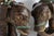Pair Elephant Garden Seats Rare Large For Sale - Image 11 of 15