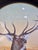 Antique the American Art Works Pre-Prohibition Era Red Stag/Elk Beer Serving Metal Lithograph Tray For Sale - Image 4 of 9
