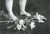 Early 21st Century Aleksandra Kalisz, Rest, 2025, Pencil on Paper For Sale - Image 5 of 6