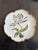 Set of 8 Hand-Painted Anna Weatherley Bread & Butter Plates 6" From Treasure Garden, Morning Glory, Green Leaf or Old Master Tulips Collection For Sale In Philadelphia - Image 6 of 11