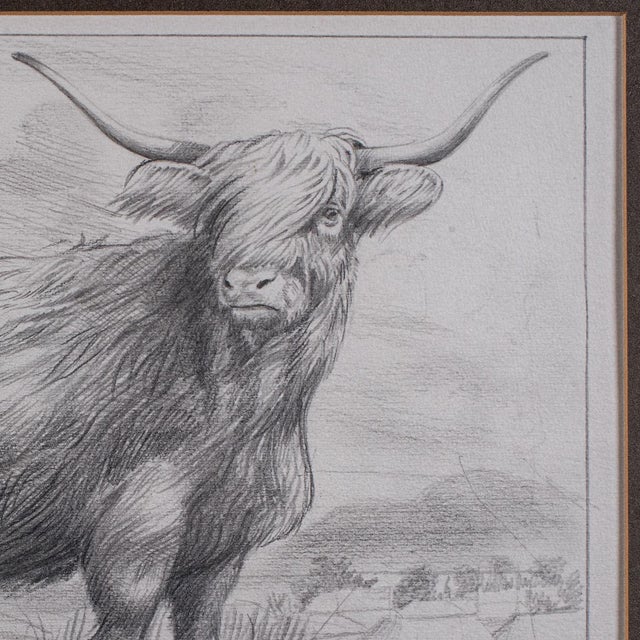 1980s Vintage Highland Cow Artist's Proof, English, Framed, Stamp Art, Barry Driscoll For Sale - Image 5 of 11