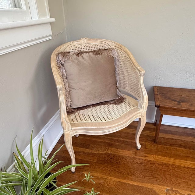 Taupe Velveteen Pillow With Long Silky Fringe | Chairish