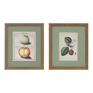Antique Pair Fruit Botanical Engravings Apple & Plum Prints Framed Traditional Decor