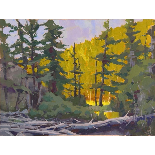 Resting Place by Judd Mercer | Gouache Landscape with trees and sunlight filtering through foliage For Sale