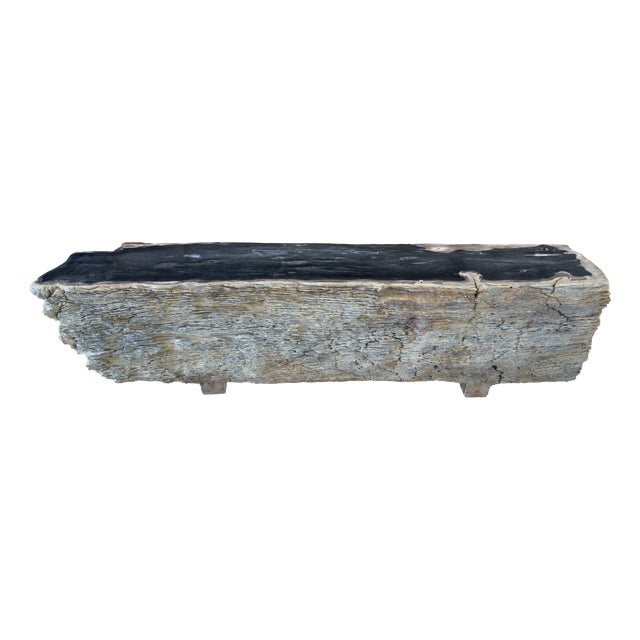 Petrified Wood Bench by Xyleia Petrified Wood For Sale