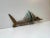 Brutalist Primeval Sword-Fish Skeleton in Bronze by Peder Evald Madsen, 1980s For Sale - Image 12 of 16