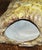 1970s Mid‑Century Willi Eggerman Studio Pottery Bird Sculpture For Sale - Image 9 of 11