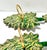Vintage Cloisonné Christmas Tree Napkin Rings With Golden Pears, Set of 4 For Sale - Image 9 of 9
