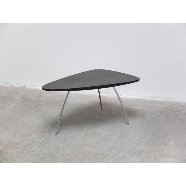 Freeform Coffee Table from Mauser Werke, 1950s For Sale - Image 9 of 15