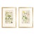 Pair of Original Hand-Colored Botanical Engravings From Dr. David Dietrich's Flora Universalis, C. 1850 | Custom Framed Antique Botanical Prints Set A For Sale