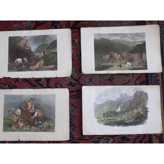 Antique Mid 19th Century Hand Colored Sporting/Equine Engraved Views - Set of 9 For Sale - Image 4 of 6