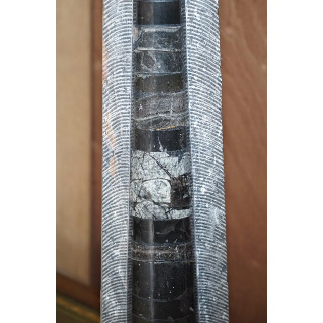 Large Atlas Mountains Fossils, Set of 2 For Sale - Image 14 of 18