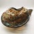 Large Murano Glass Ashtray attributed to Dino Martens, Italy, 1950s For Sale - Image 13 of 13