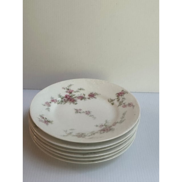 1900 - 1909 Antique Haviland Limoges France Six(6) 6.6"d Dessert Plates Schleiger-151-1 Pink Floral Pattern For Sale - Image 5 of 12