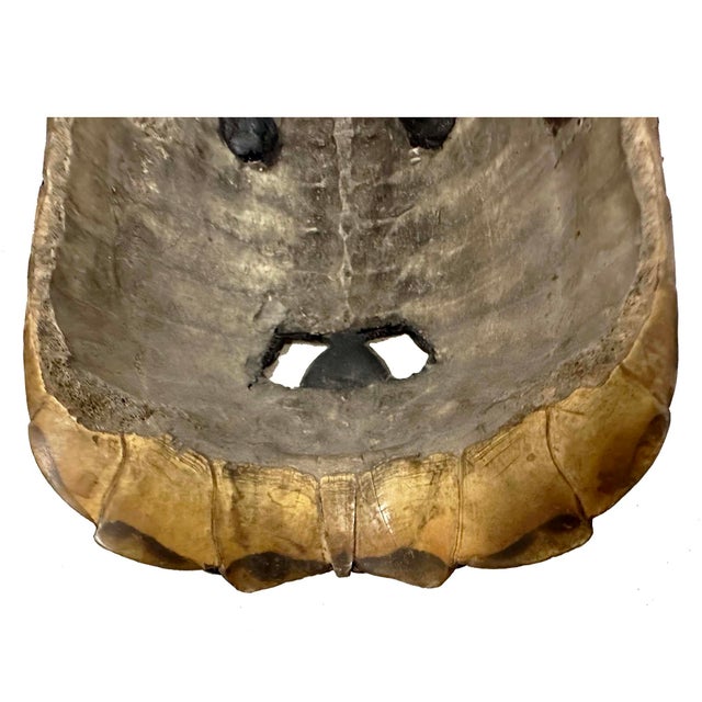 Early 20th Century Tibetan Buddhist Kapala Turtle Shell Ritual Mask For Sale - Image 13 of 13