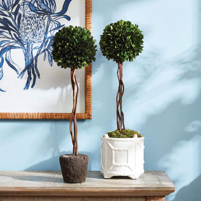 Kenneth Ludwig Chicago Boxwood Single Sphere Topiary Drop-In 24" For Sale - Image 4 of 4