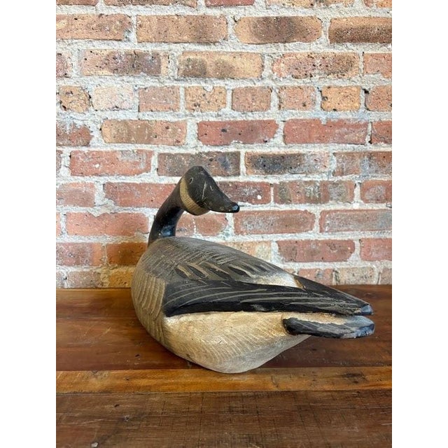 Master-Carved Antique Folk Art Preening Canada Goose Decoy For Sale - Image 13 of 18
