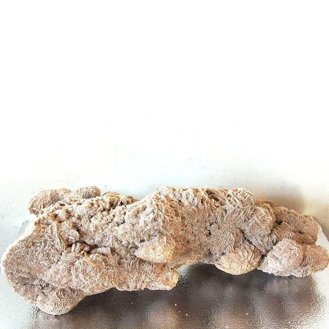 Glass Late 20th Century Very Large Selenite Desert Rose Crystal Cluster Rock Formation For Sale - Image 7 of 11