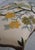 French Louis XV Peacock Upholstered Seat Bench For Sale - Image 4 of 12