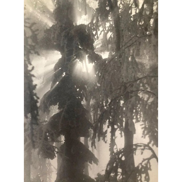 Art Photographs from Fritz Grögl, Austria, 1932, Set of 3 For Sale - Image 10 of 18