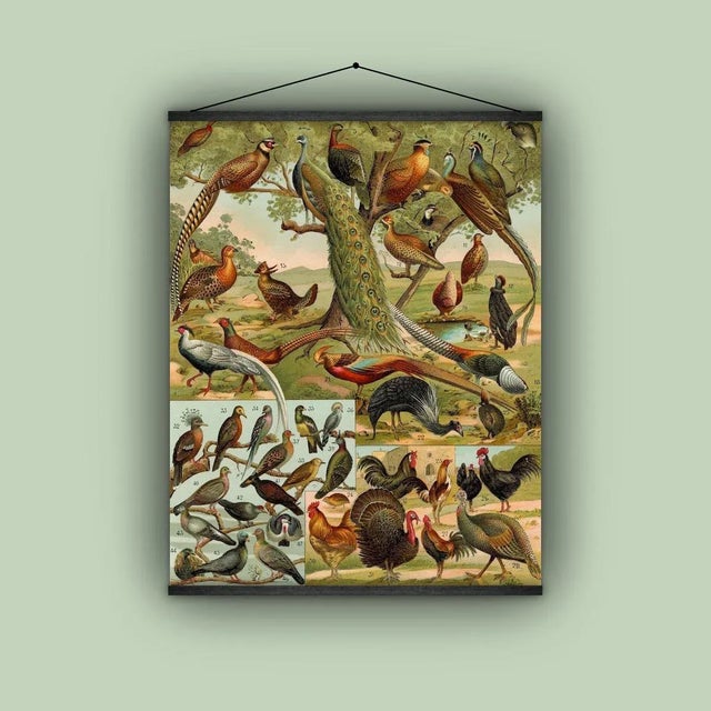 Wood Reproduction of an Antique 'World Birds' Wall Hanging For Sale - Image 7 of 9
